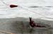 Ice rescue email11