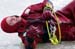 Ice rescue email44
