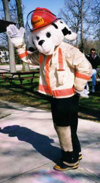 See the bigger Sparky